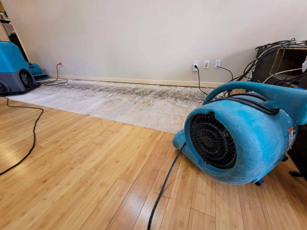 Professional Water Damage Repair technician working in Minot, ND
